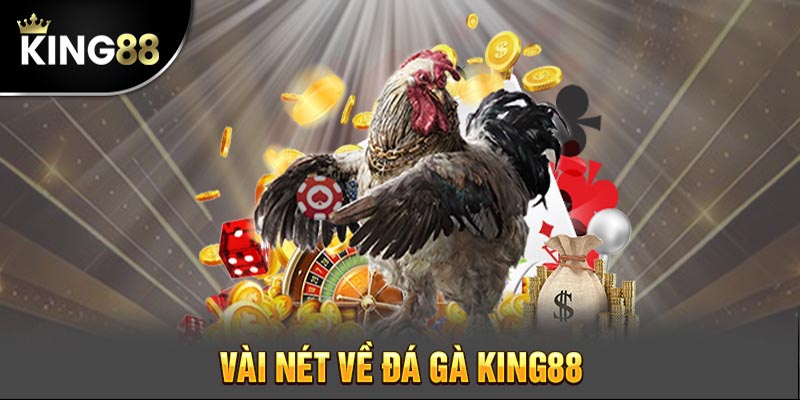 King88 cung cấp một vài thông tin cơ bản về trò đá gà nồi trực tuyến